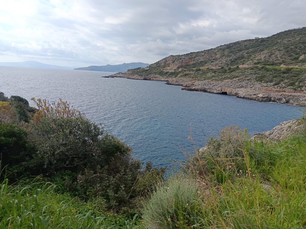 img 20260226 153919